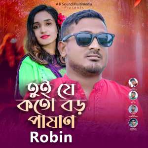Album Tui Je Koto Boro Pashan oleh Robin