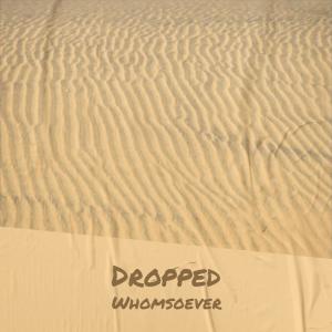 Album Dropped Whomsoever from 