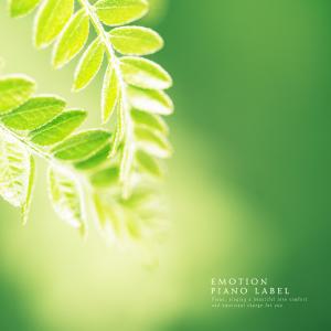 Listen to Walk Along Memories song with lyrics from Flutter