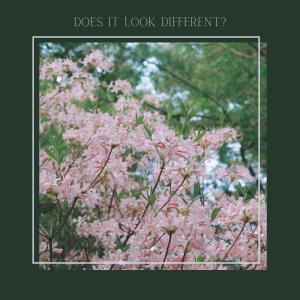 Emily Sangder的專輯Does it Look Different? (feat. Karissa Bone) [Explicit]