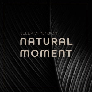 ดาวน์โหลดและฟังเพลง Natural Moment พร้อมเนื้อเพลงจาก Sleep Dimension