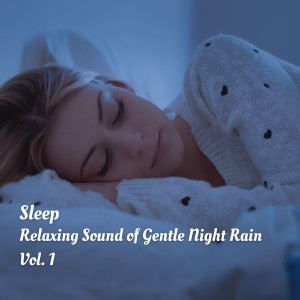 Sleep: Relaxing Sound of Gentle Night Rain Vol. 1