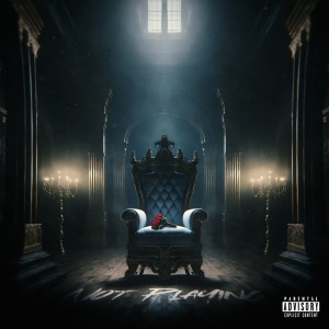 Album Not Playing (feat. Don Tecch) from 2GK Rosa