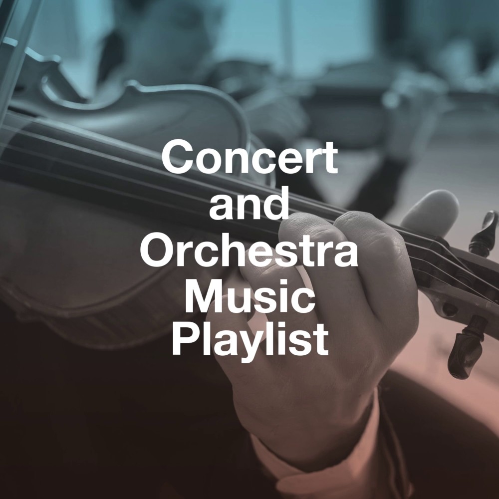 Concerto for Orchestra, Sz. 116: III. Elegia: Andante Non Troppo