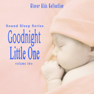 收聽The New Classical Consortium的Gianni Schicchi: O Mio Babbino Caro (Oh My Beloved Father)歌詞歌曲