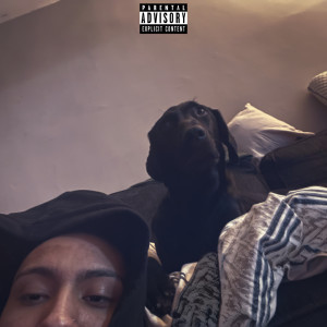 收聽Lil Jerm的Lost The Love (Explicit)歌詞歌曲