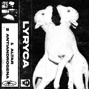 Listen to antiandrogena. song with lyrics from Lyryca