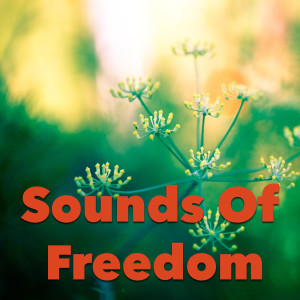 Listen to Triumphant song with lyrics from Power Shui