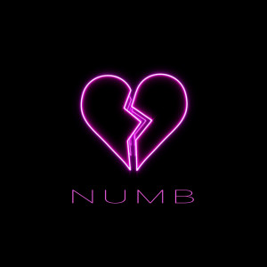 Listen to Numb song with lyrics from K9