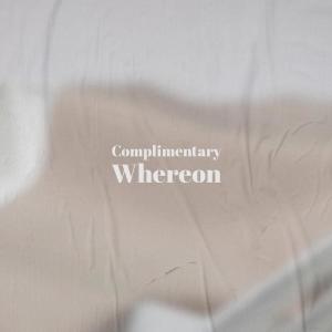 收听Erild Ante的Nonexistent Which歌词歌曲