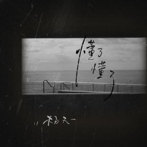Album 懂了懂了 from 杨天一