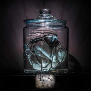 Listen to 像花一样 song with lyrics from 马文