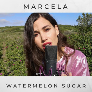 收听Marcela的Watermelon Sugar歌词歌曲