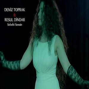 Listen to Sebebi Sensin song with lyrics from Deniz Toprak