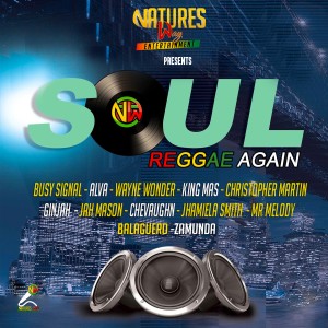 Various Artists的專輯Soul Reggae Again