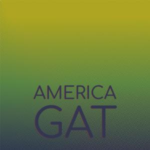 Various的专辑America Gat
