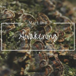 Dengarkan lagu Awakening nyanyian Mert Omd dengan lirik