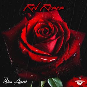 收聽Rakan Ayyoub的Redd Roses歌詞歌曲