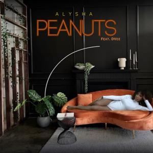 ดาวน์โหลดและฟังเพลง Peanuts (feat. D-Vee) พร้อมเนื้อเพลงจาก Alysha NOW