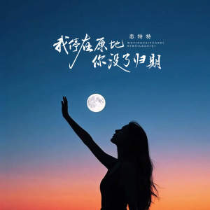 Album 我停在原地你没了归期 from 恋特特