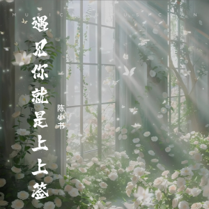 Listen to 遇见你就是上上签 (cover: 苏潇潇) (Live) song with lyrics from 陈小书