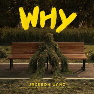 收聽Jackson Wang的Why Why Why歌詞歌曲