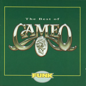 ดาวน์โหลดและฟังเพลง I Just Want To Be พร้อมเนื้อเพลงจาก Cameo