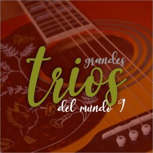 Listen to Dile Que Vuelva song with lyrics from Trio Vegabajeno