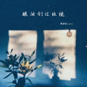 Album 眼泪划过玫瑰 oleh 傅梦彤