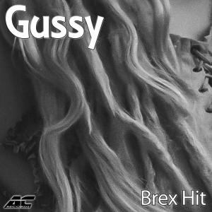 收聽Gussy的BREX HIT (Original Mix)歌詞歌曲