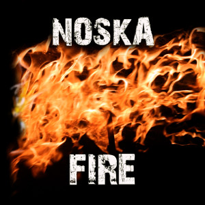 Listen to Fire (DJ Purple Rabbit Remix) song with lyrics from Noska