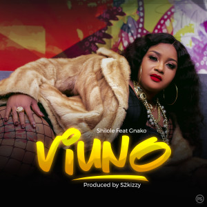 Listen to Viuno song with lyrics from Shilole