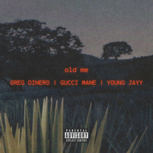 收听Greg Dinero的Old Me (Explicit)歌词歌曲
