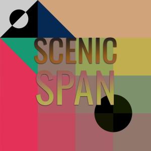 Various Artists的專輯Scenic Span