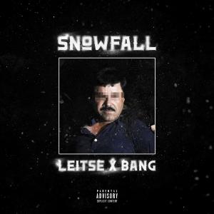 Leitse的專輯SNOWFALL (feat. Leitse) (Explicit)