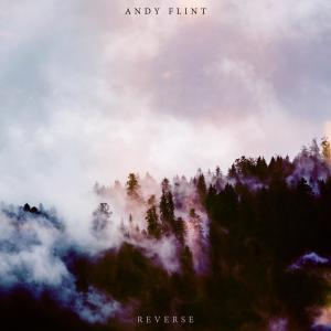 ดาวน์โหลดและฟังเพลง Reverse พร้อมเนื้อเพลงจาก Andy Flint