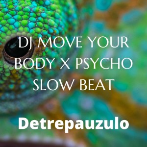 อัลบัม DJ MOVE YOUR BODY X PSYCHO (SLOW BEAT) ศิลปิน Detrepauzulo
