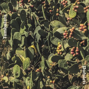 Dengarkan lagu Quasi (Explicit) nyanyian Pufuleti dengan lirik