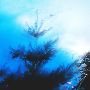 Album Post Factum (Explicit) from 
