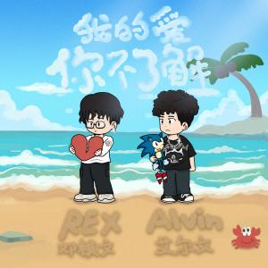 ดาวน์โหลดและฟังเพลง 我的爱你不了解 พร้อมเนื้อเพลงจาก REX邓棋文 & 张奶奶