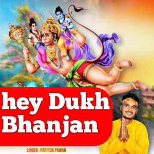 Album Hey Dukh Bhanjan from Parinda pawan