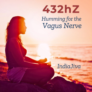 Album 432hz Humming for the Vagus Nerve from 