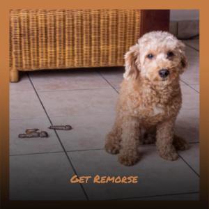 Album Get Remorse from Various