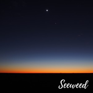 Listen to White Lie song with lyrics from Seeweed