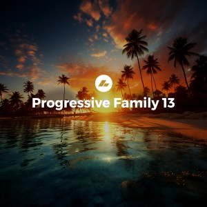 Various Artists的專輯Progressive Family 13