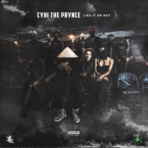 Listen to Like It Or Not (Explicit) song with lyrics from Cyhi The Prynce