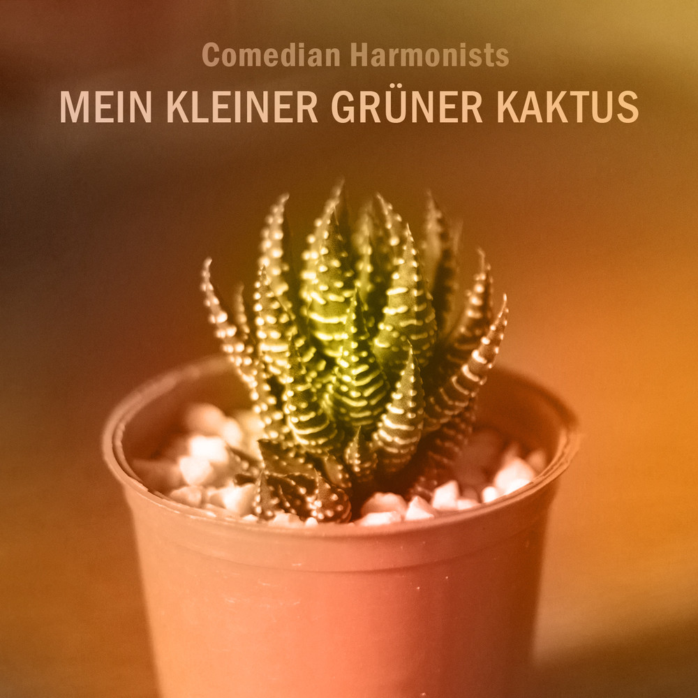 Veronika, der Lenz ist da