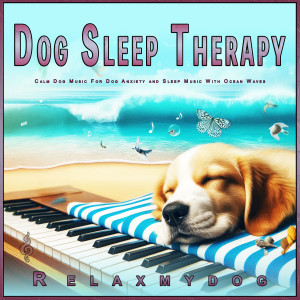 ดาวน์โหลดและฟังเพลง Relaxing Bark Free Nights พร้อมเนื้อเพลงจาก Relaxmydog