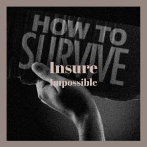 Various的专辑Insure Impossible