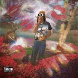 STM Don的專輯I Luv ‘Em All (Explicit)